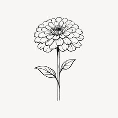 Obraz premium Black and white line drawing of a blooming flower with two leaves.