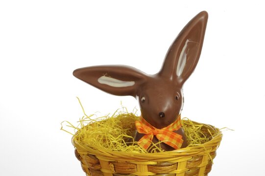 Chocolate Easter bunny