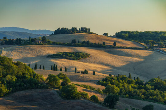 Rolling golden hills of the Val d'Orcia, Tuscany, Italy