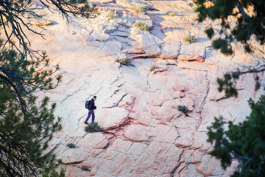 Walking on the rocky hill framed by green trees. Zion National Park. Utah. USA.
