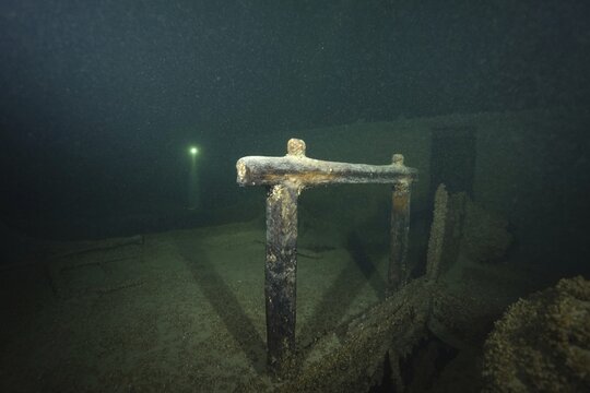 Detailed view of a shipwreck covered with mussels, quagga triangle mussel (Dreissena rostriformis bugensis), invasive species, in the dark, dive site wreck of the Jura, Lake Constance, Bottighofen, Switzerland, M&uuml;nsterlingen, Germany