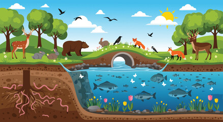 Cross Section Vector Illustration of Nature Ecosystem showing Wildlife Forest Underground Soil and Aquatic River Life