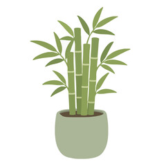 Fototapeta premium Hand-traced vector illustration of a lush potted bamboo plant with vibrant green stalks, pointed leaves, and a soft sage ceramic planter on a clean white background