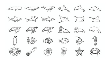 Minimalist sea animal icons set, 30 linear marine life vector illustrations, black outline aquatic creatures for educational and environmental design © Bilal