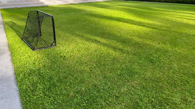 Soccer goal on green grass field