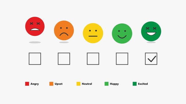 Customer Satisfaction Survey with Emoji Faces and Checkboxes for Feedback.
