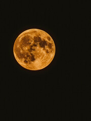 moon © Christina
