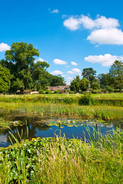 Idyllic homes around the picturesque village green and ponds at Frampton on Severn, Gloucestershire, UK.