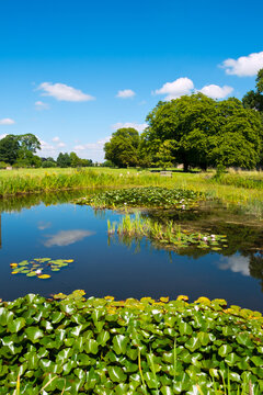 Summer sunshine on the picturesque village green and ponds at Frampton on Severn, Gloucestershire, UK.