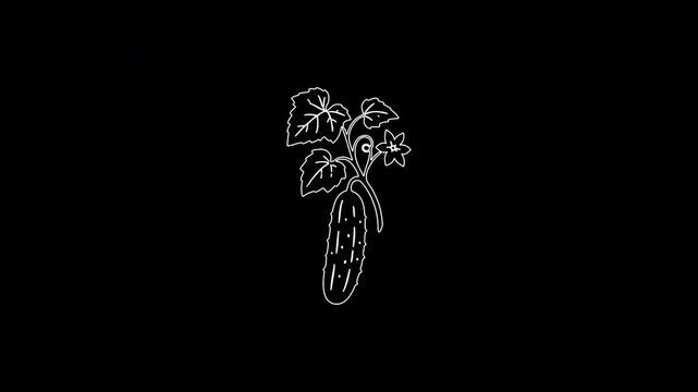 Animated drawing of a cucumber plant growing