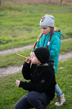 Children enjoying a playful afternoon in a lush green field as one blows into a colorful whistle while the other watches curiously
