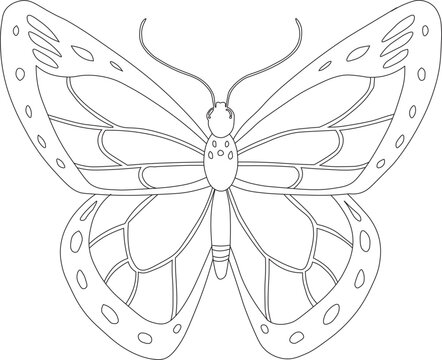 Butterfly Line Art Vector - Minimalist Butterfly Outline