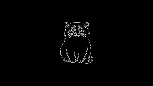 Hand drawn pallas's cat outline animation
