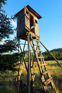 A wooden wildlife observation hide nestled in the forest for wildlife viewing and bird watching.