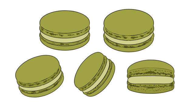 Green macaron cookies set in hand drawn vector style
