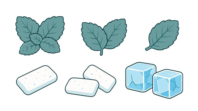 Mint leaves, chewing gum pieces, and ice cubes vector set