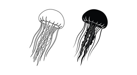 Jellyfish Silhouettes Black And White Line Art Illustration © Badal