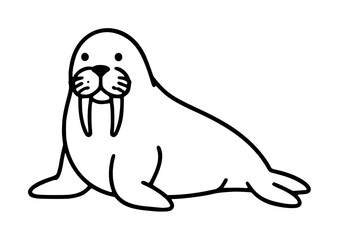 Hand-traced vector illustration of a cute cartoon walrus with prominent tusks and whiskers, minimalist black outline drawing on white background, simple line art style for coloring books and © Sana