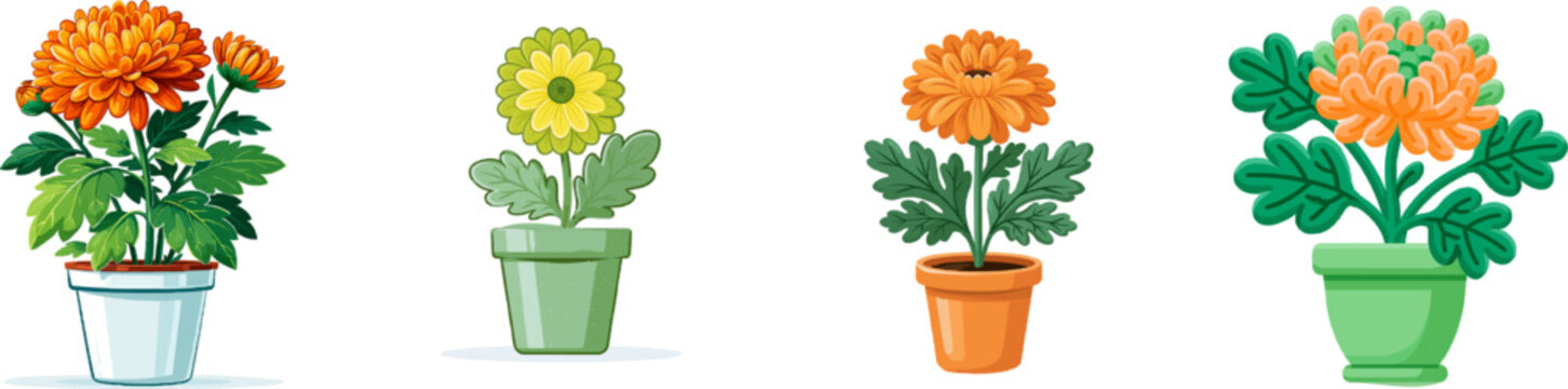 A vibrant orange chrysanthemum flower in a clear pot stands against a white background, surrounded by lush green leaves, creating a striking autumnal scene