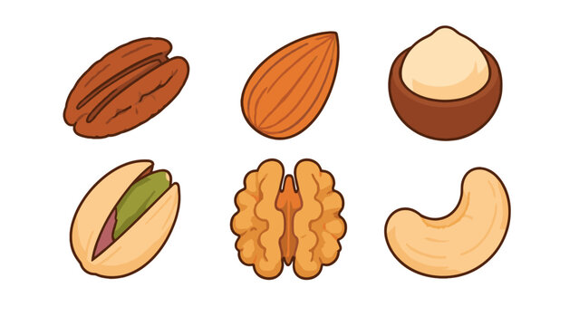 Hand drawn assorted nut illustration set on light background