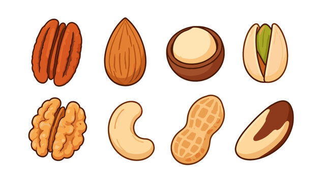Hand drawn assorted nuts seamless pattern on white background