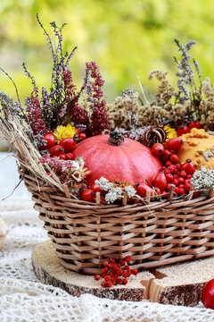 Autumn decoration with small pumpkins, heather, chestnuts and other autumn plants in a wicker basket. Step by step, tutorial.