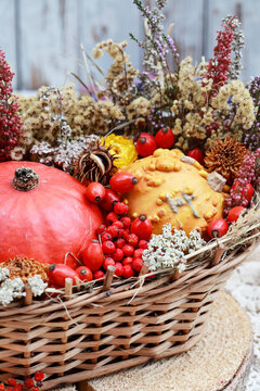 Autumn decoration with small pumpkins, heather, chestnuts and other autumn plants in a wicker basket. Step by step, tutorial.