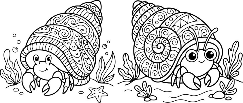 Hermit crab and decorated shell black and white vector illustration for coloring