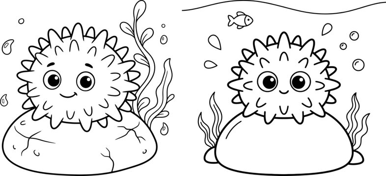 Cartoon sea urchin pair on rocks black and white line illustration