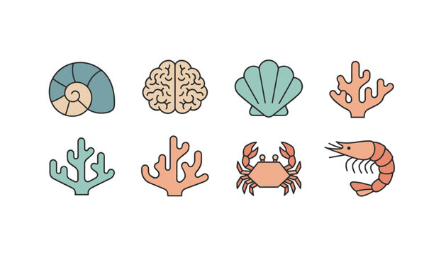 Pastel colored marine life icons featuring sea shells, coral reefs, a crab, shrimp, and an organic brain shape.