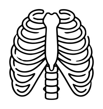 Hand-traced vector icon illustration of human ribcage skeleton outline, detailed anatomical thorax with sternum and curved ribs, black contour line drawing on white background, medical and