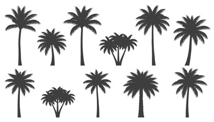 Naklejka premium Silhouette icons of eleven different tropical palm trees arranged in two neat rows isolated on a white background.