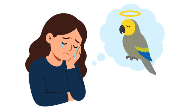 Sad woman crying and thinking of a dead parrot illustration