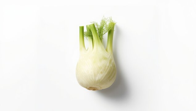 Nutritious and succulent fennel bulb