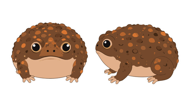 Round brown rain frog cartoon vector with front and side views