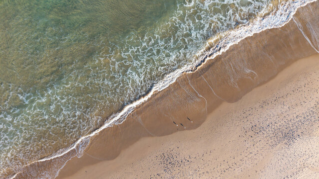Aerial view of Dee Why Beach with gentle waves washing onto the golden sand and people walking along the shoreline in Dee Why, New South Wales, Australia.