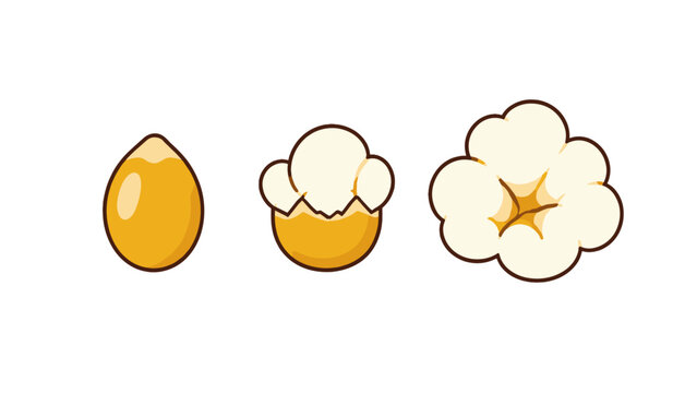 Popcorn kernel to popped corn transformation vector set