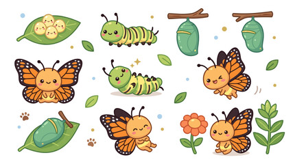 Fototapeta premium Set of butterfly metamorphosis stages with eggs, caterpillar, chrysalis, and monarch butterfly, nature transformation lifecycle illustration