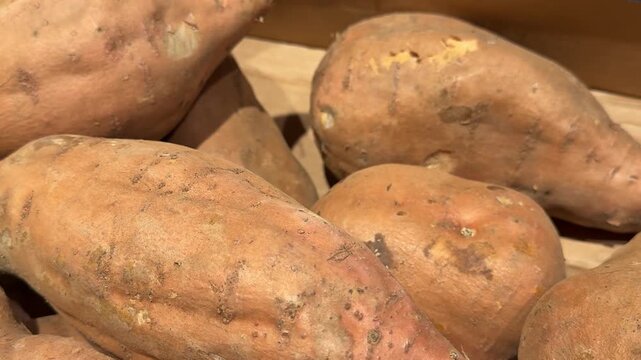 Fresh sweet potatoes neatly arranged in a supermarket produce section create an attractive display, offering nutritious root vegetables for grocery stores and everyday shopping. Close up.