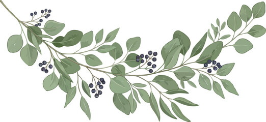 Elegant hand drawn gray eucalyptus branch illustration with berries and leaves for wedding stationery design and botanical decoration elements © Marufin Art