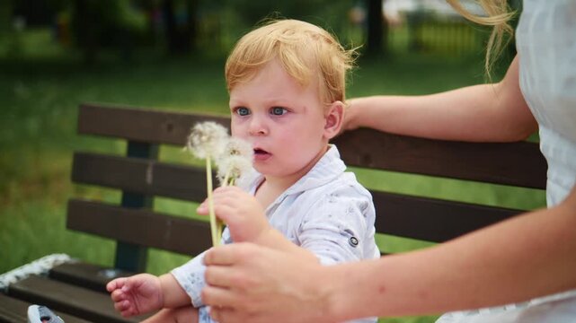 Toddler sits on a park bench holding dandelions. The child looks calm, focused on the fluffy seed heads. An adult gently guides the flower. Soft sunlight highlights natural textures