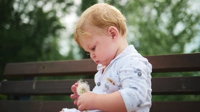Young child sits on bench holding dandelion puff. Adult hand gently covers child's eyes. Child looks down, focused on dandelion. Scene shows quiet, gentle moment outdoors