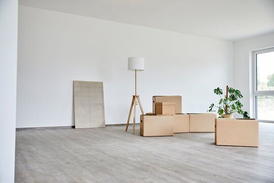 Empty room with many cardboard and potted plant