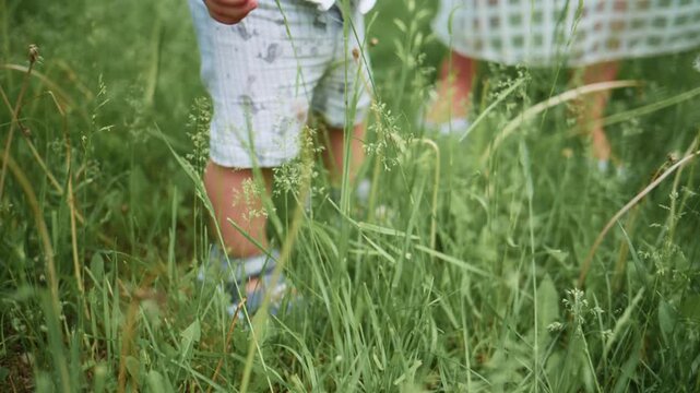 Child walks through tall grass with adult. Soft focus on legs and feet. Grass sways gently as they move. Peaceful outdoor moment captured. Ideal for nature, family, or summer themes