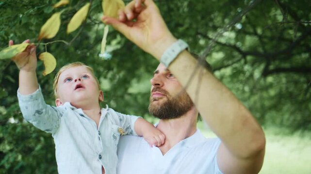 Man holds baby under tree. Baby reaches for falling leaf. Man smiles, looks at child. Scene shows gentle outdoor bonding. Perfect for parenting, nature, or family content. Suitable for advertising