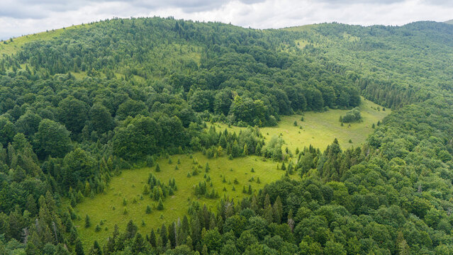 Drone view of the Carpathian meadow surrounded by green spring mixed forest. Protected beech forests of Europe. View of the completely forested areas of the spring Carpathians.