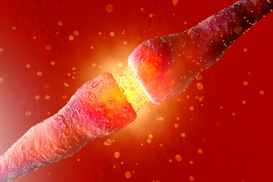 3D Rendered Illustration, visualisation of neurons firing neurotransmitters in the synaptic gap