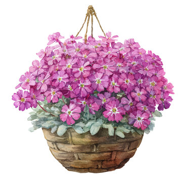 Verbena Basket, watercolor design element isolated on white background