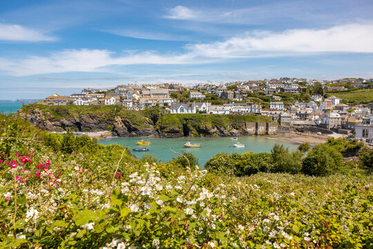UK, England, Port Isaac, View of coastal town in spring with blooming wildflowers in foreground