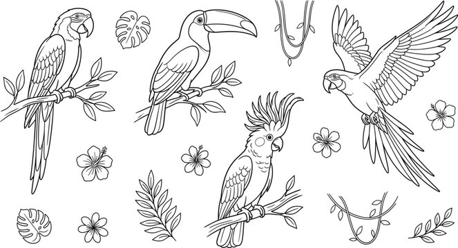 Tropical birds line art vector set featuring macaw parrot toucan and cockatoo with exotic flowers jungle leaves vines